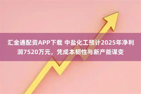 汇金通配资APP下载 中盐化工预计2025年净利润7520万元，凭成本韧性与新产能谋变